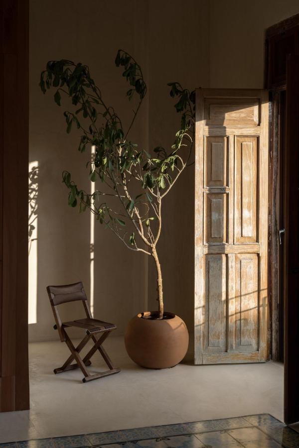Narrativ Lofts - Numen - Stylish Hideaway Apartment Campeche Exterior photo